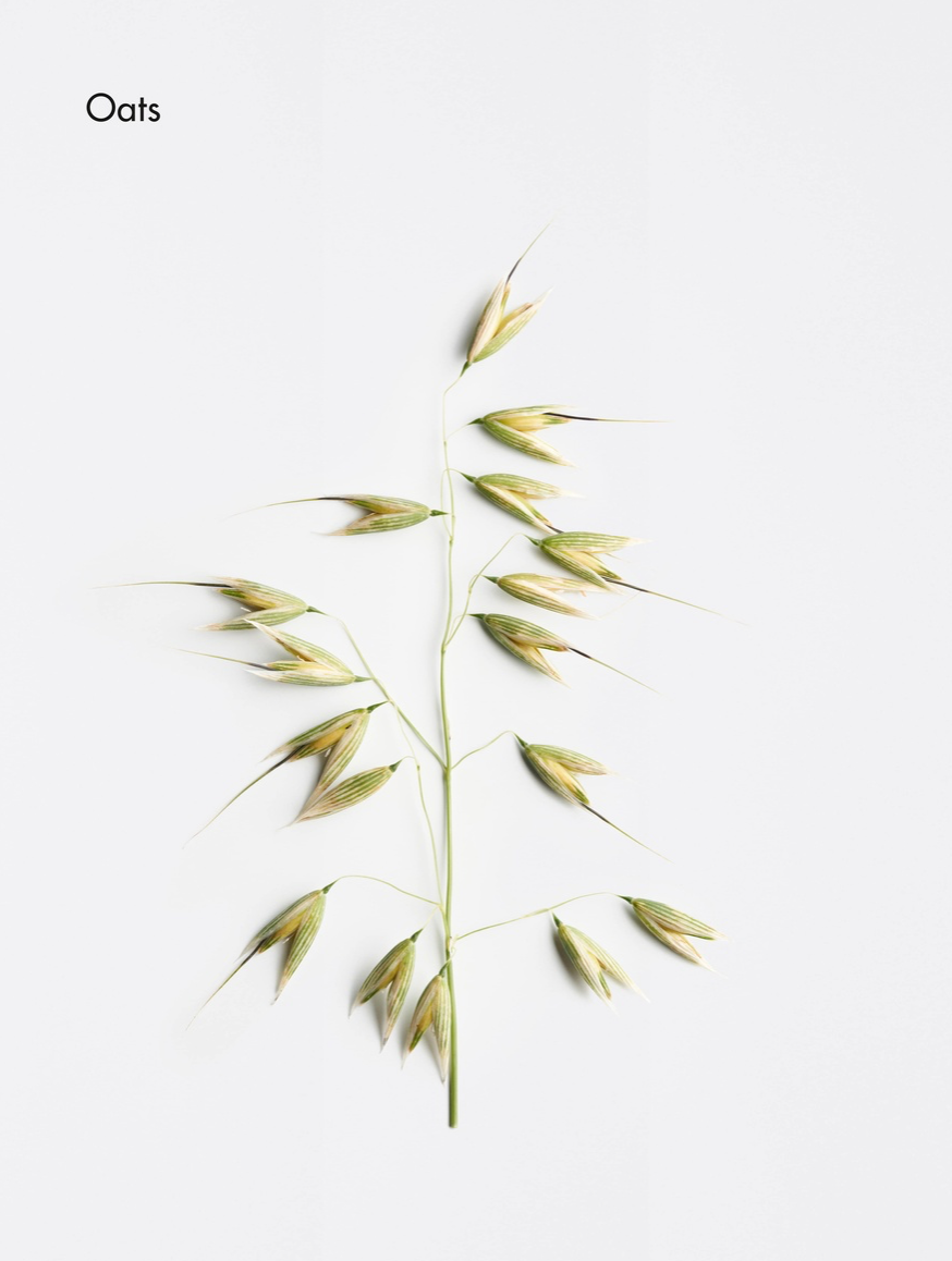 LA BIOSTHETIQUE Shampooing Lipokerine A