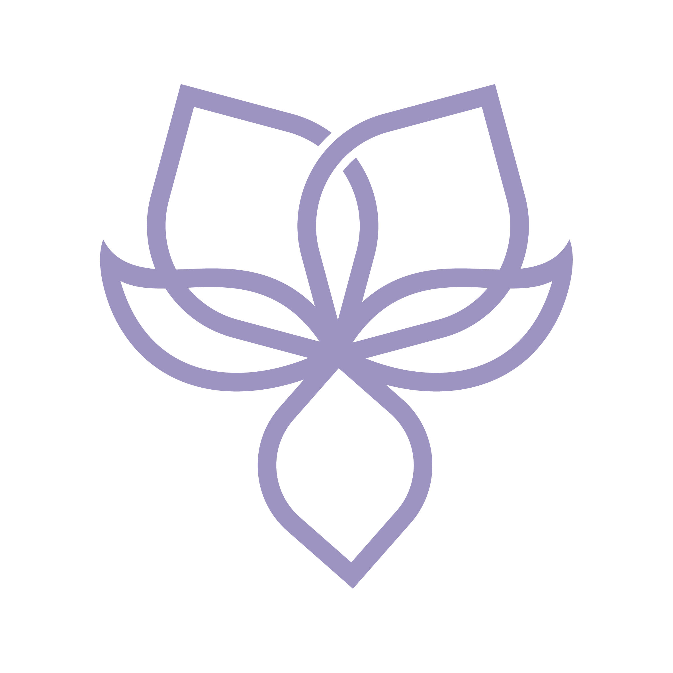 Custom icon