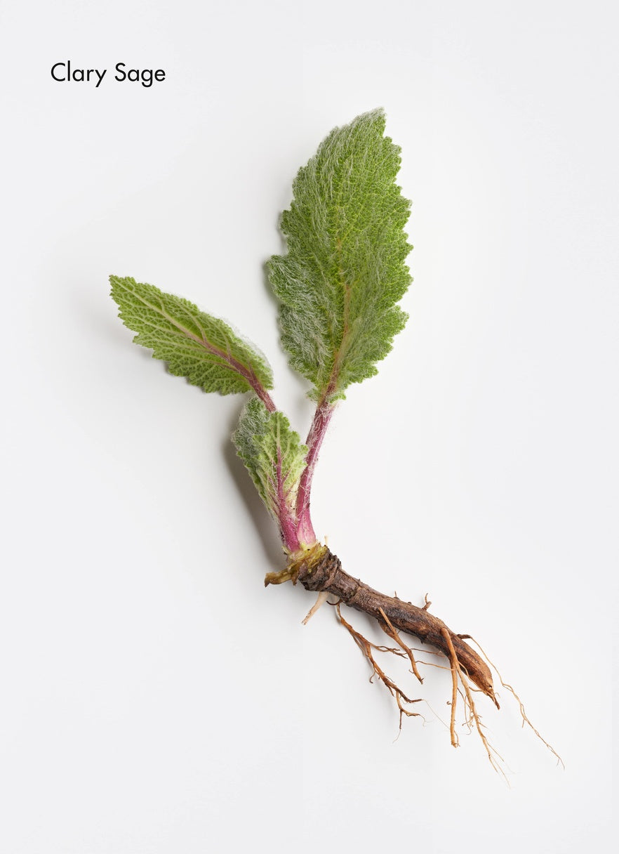 LA BIOSTHETIQUE Fortifying Aroma Complex