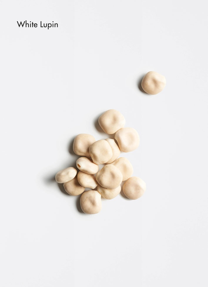 LA BIOSTHETIQUE Fortifying Shampoo