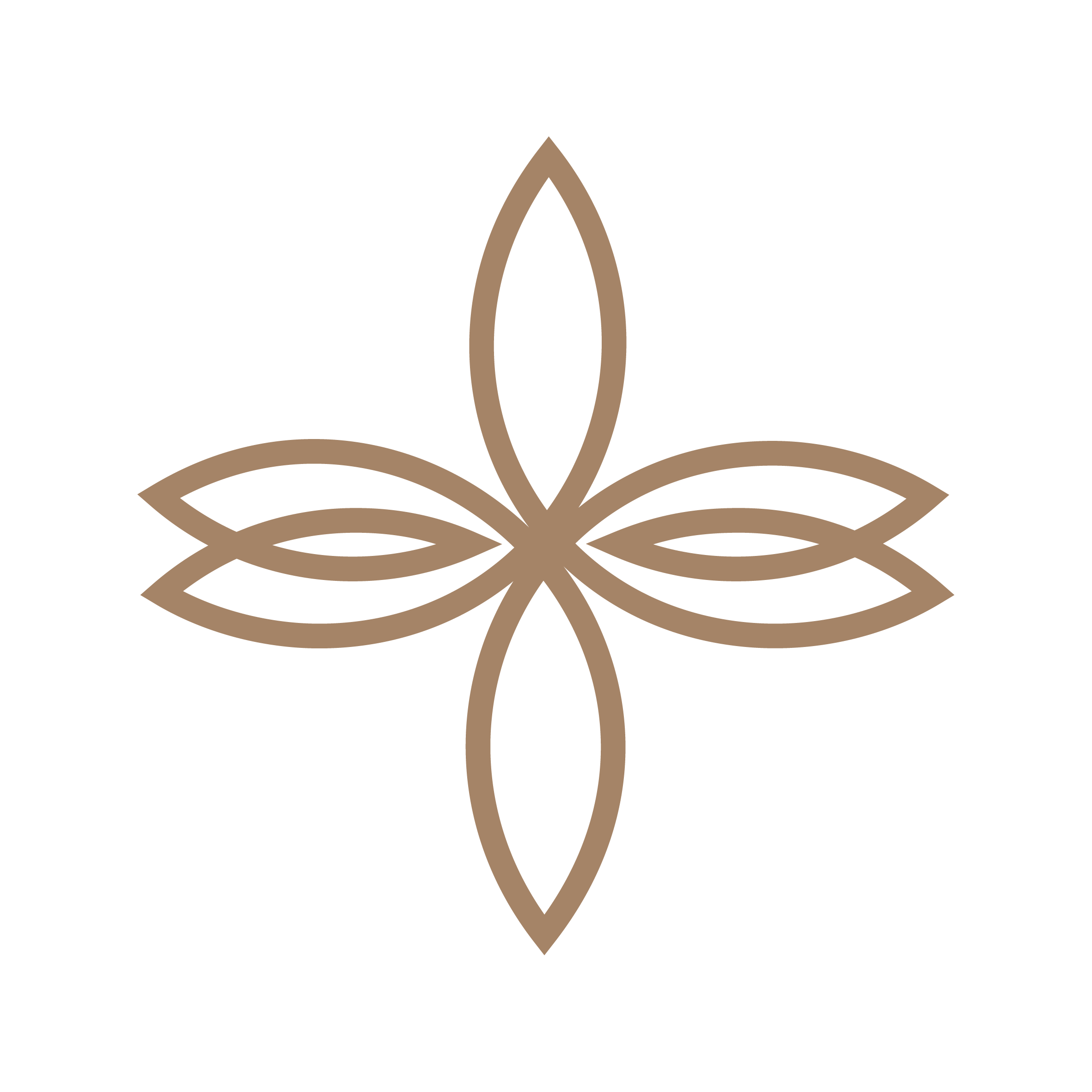 Custom icon