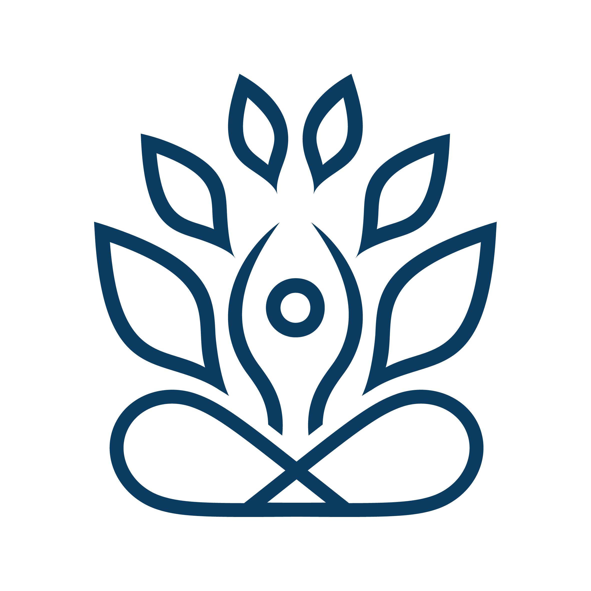 Custom icon