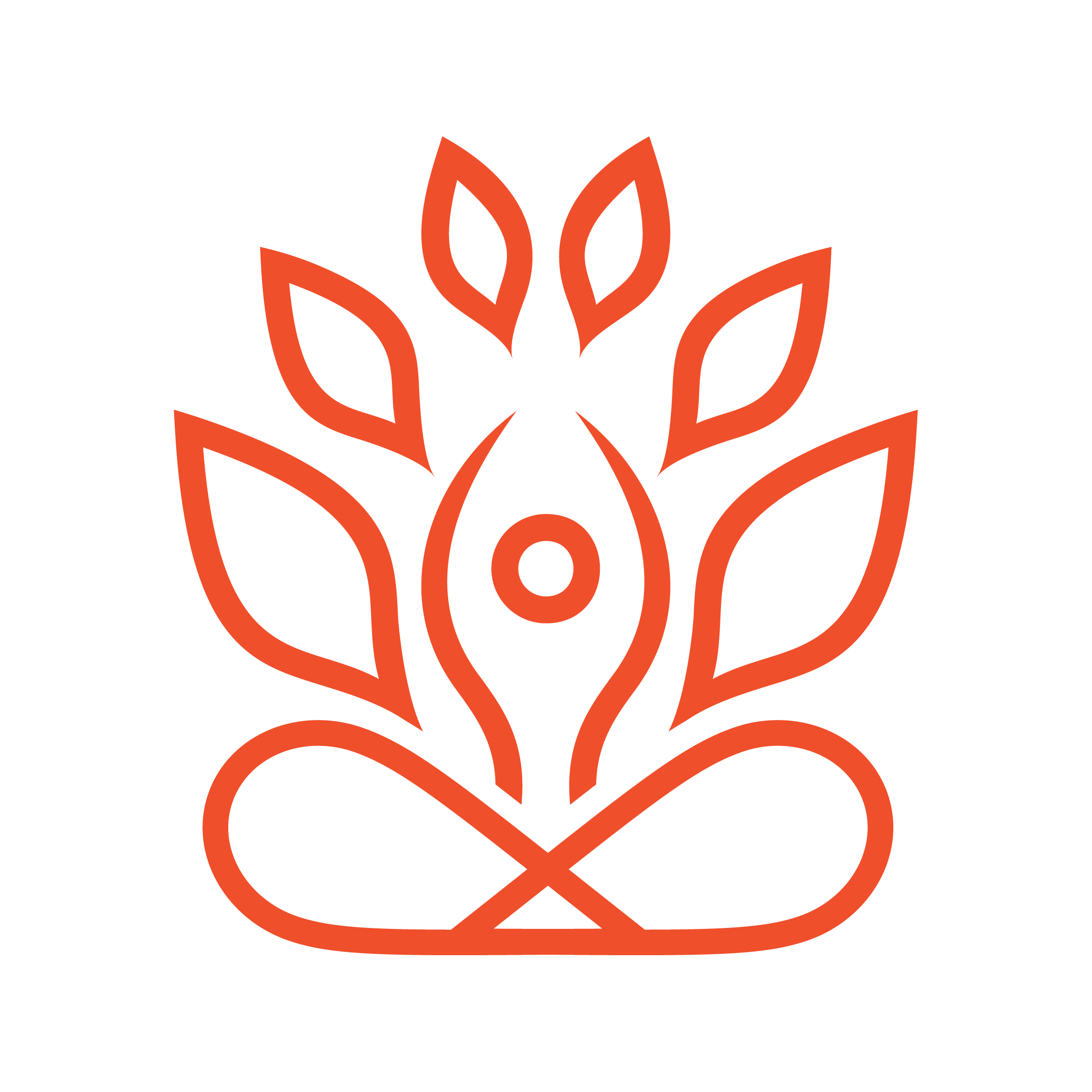 Custom icon