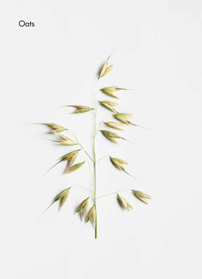 LA BIOSTHETIQUE Calming Lipokerine E Shampoo