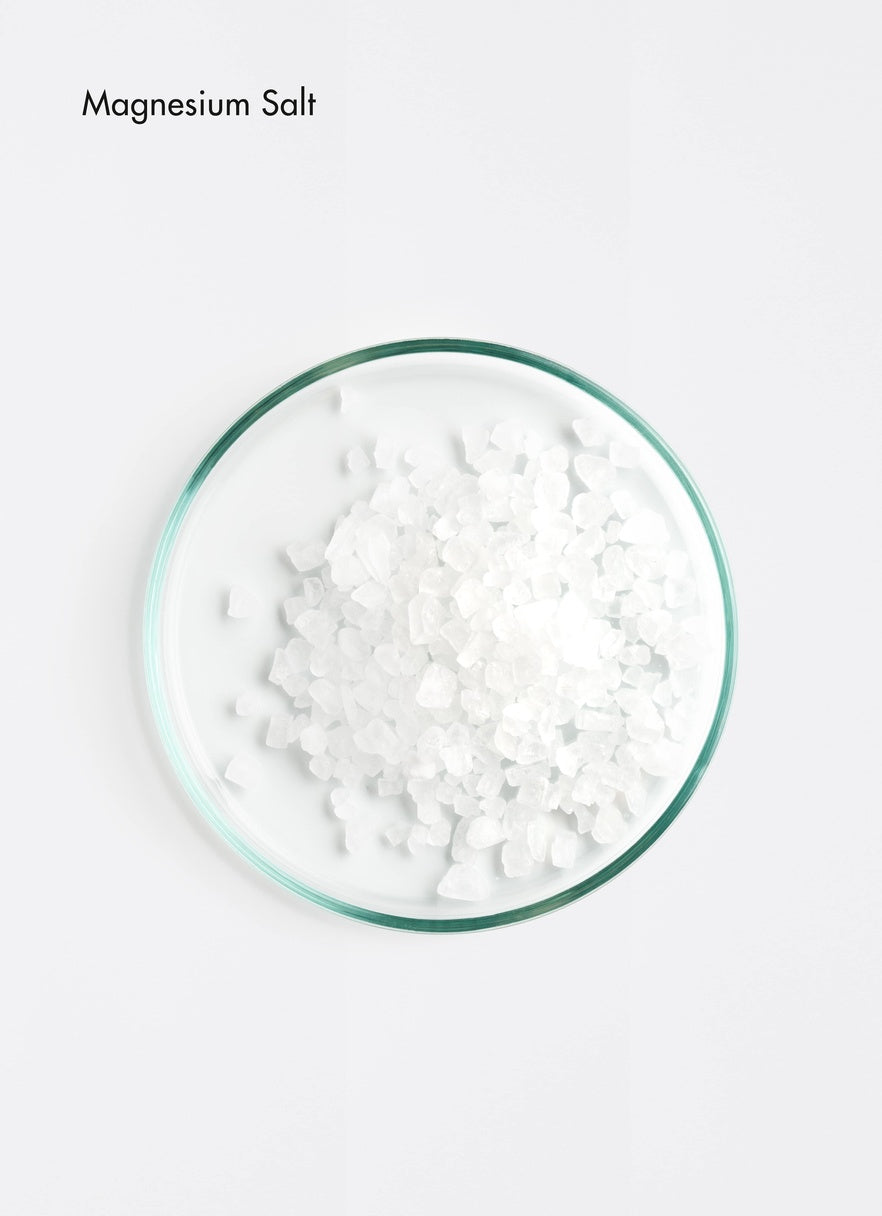 LA BIOSTHETIQUE Purifying Dandruff Shampoo